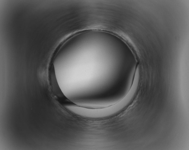 X0000089441230200706291419