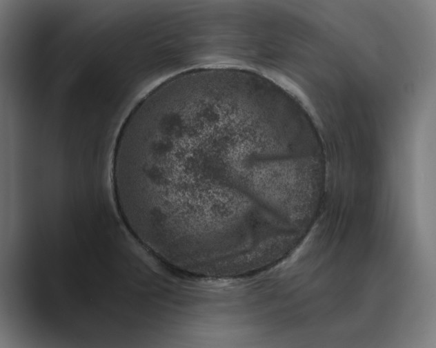 X0000089441231200706291419