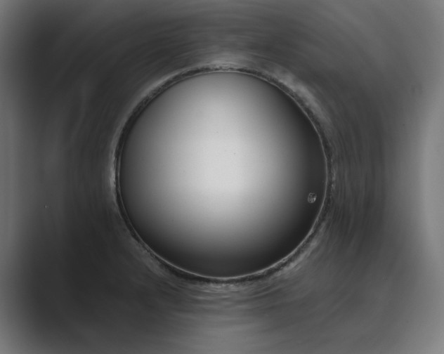 X0000089441232200706291419