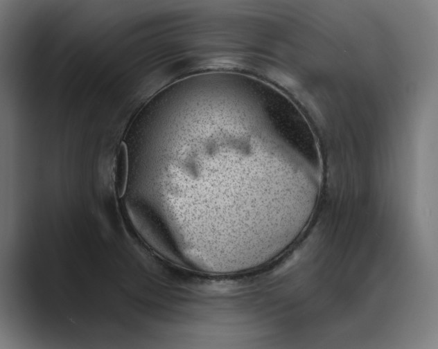 X0000089441233200706291419