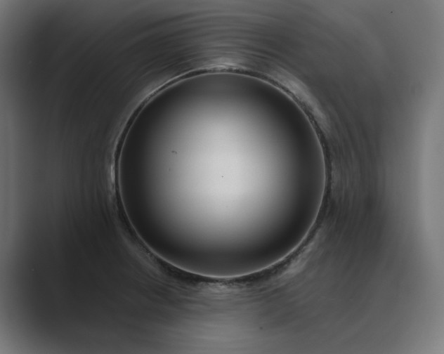 X0000089441234200706291419