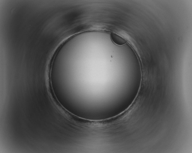 X0000089441235200706291419