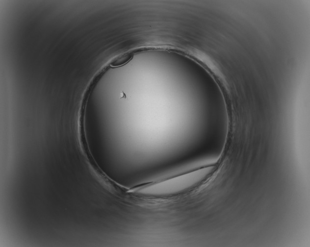 X0000089441237200706291419