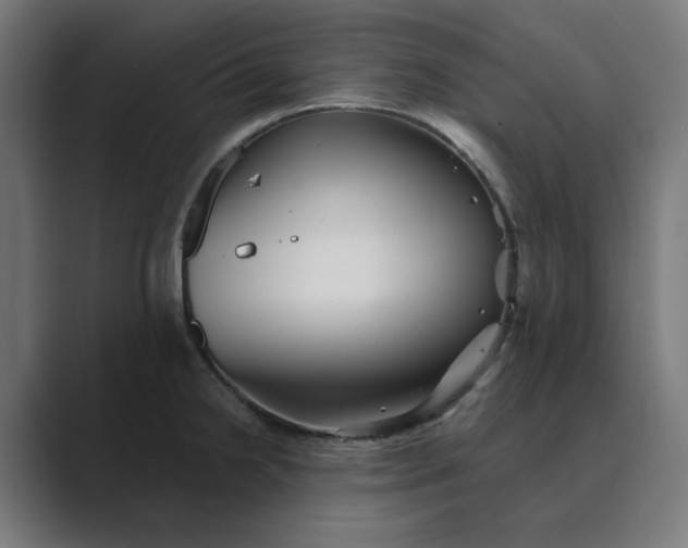 X0000089441238200706291419