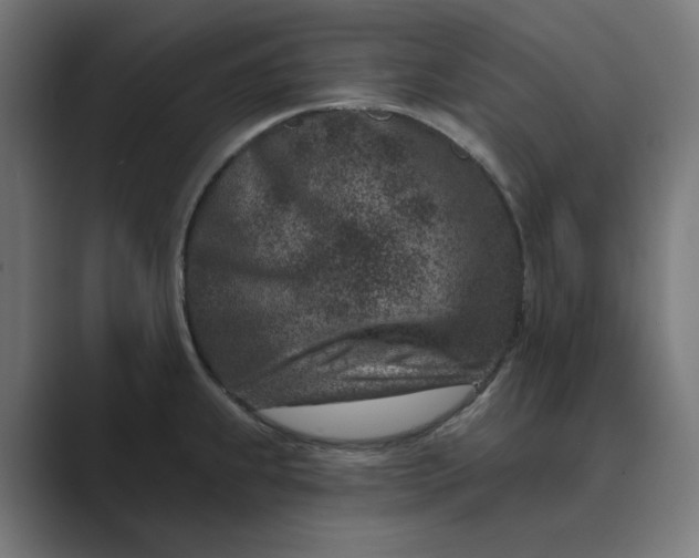 X0000089441239200706291419