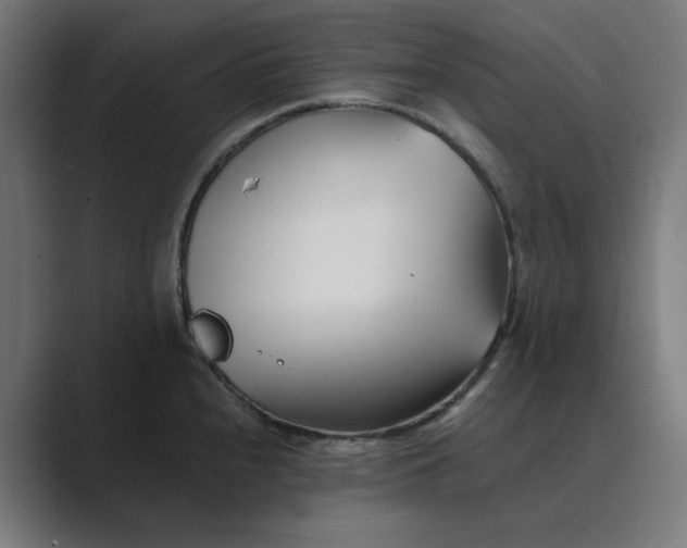 X0000089441240200706291419