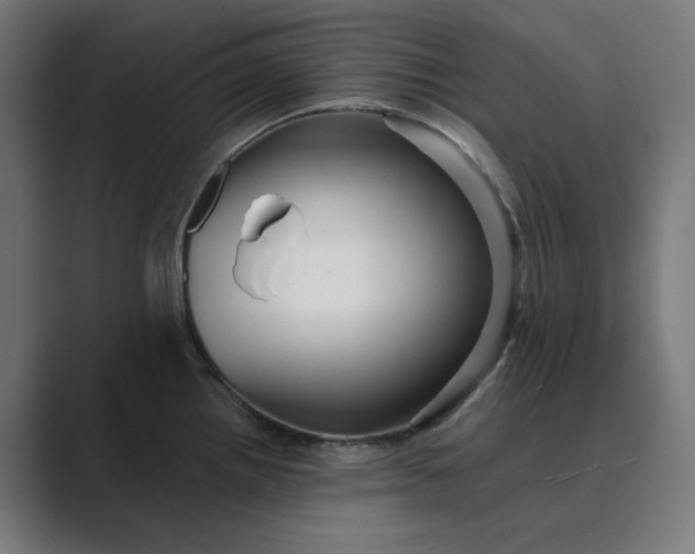 X0000089441242200706291419