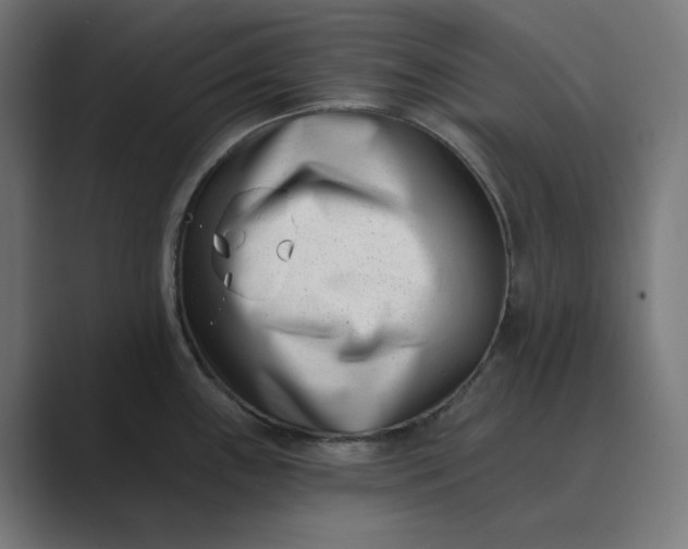 X0000089441243200706291419