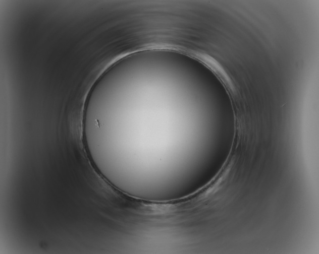 X0000089441244200706291419