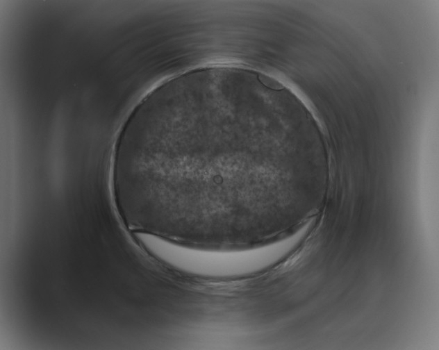 X0000089441245200706291419