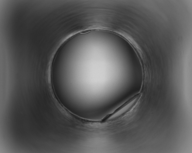 X0000089441246200706291419