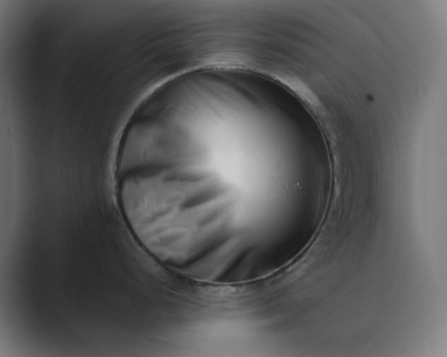 X0000089441248200706291419