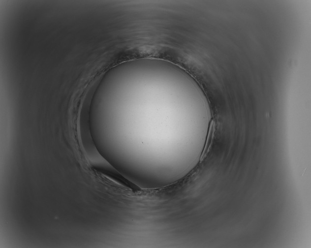 X0000089441249200706291419