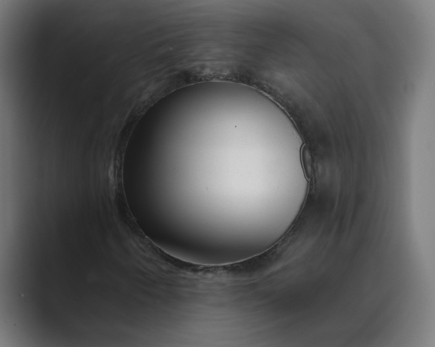 X0000089441250200706291419