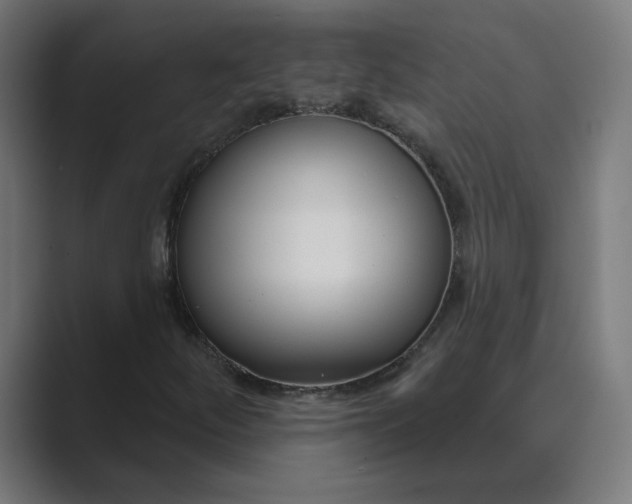 X0000089441252200706291419