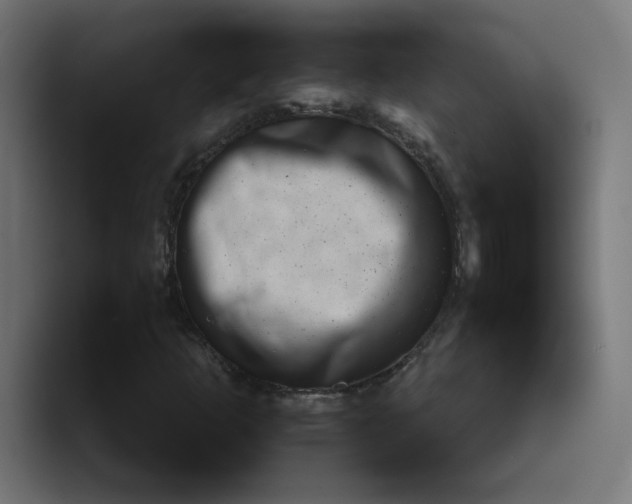 X0000089441253200706291419