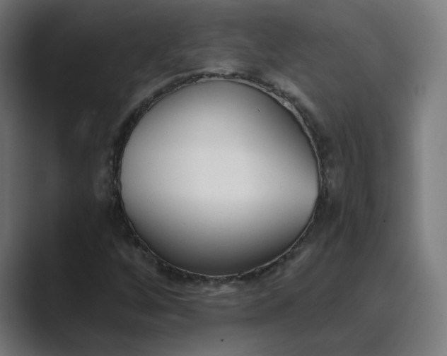 X0000089441256200706291419