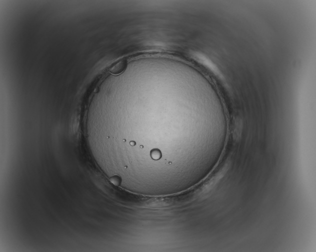 X0000089441259200706291419