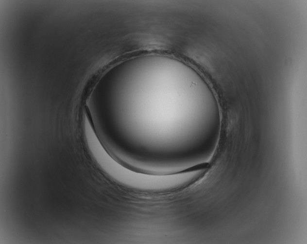 X0000089441261200706291419