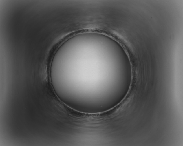 X0000089441262200706291419