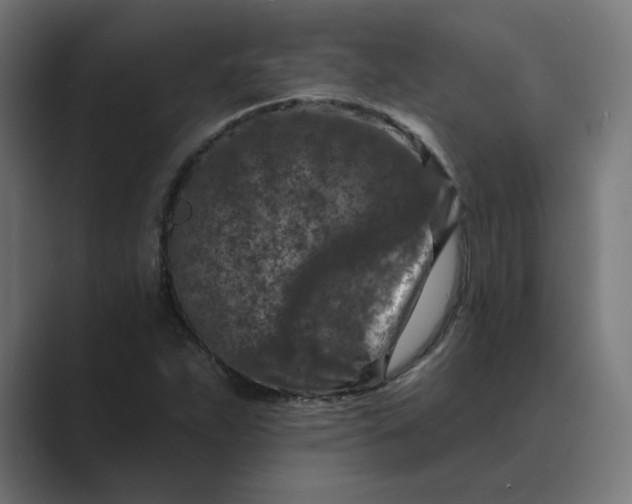 X0000089441263200706291419