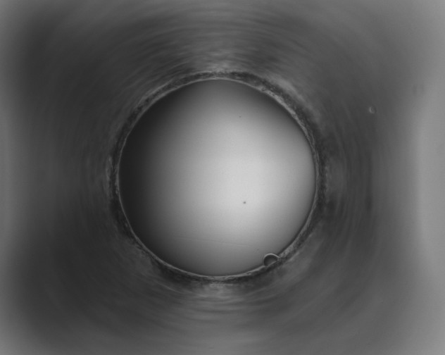 X0000089441265200706291419