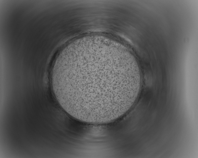 X0000089441266200706291419