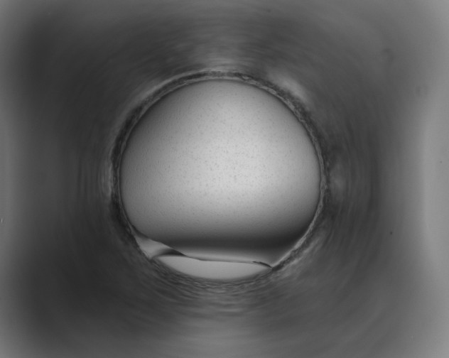 X0000089441267200706291419