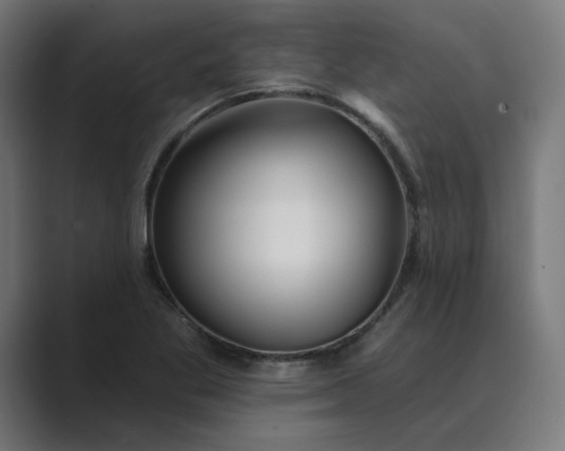X0000089441269200706291418