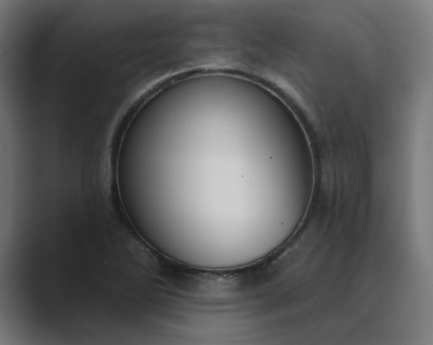 X0000089441270200706291418