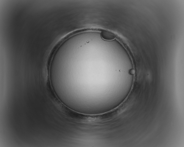 X0000089441271200706291418