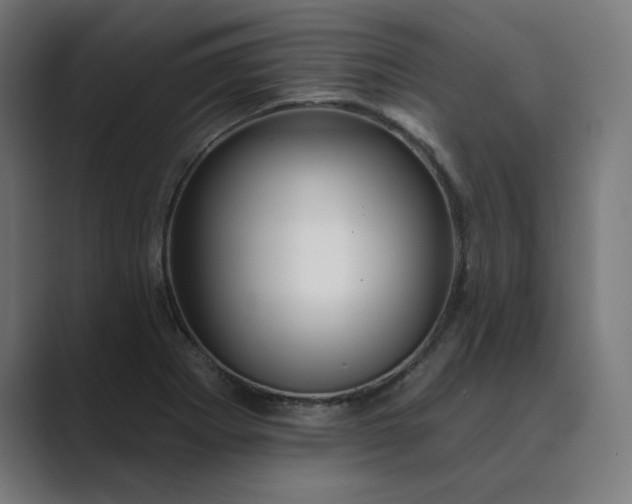 X0000089441273200706291418