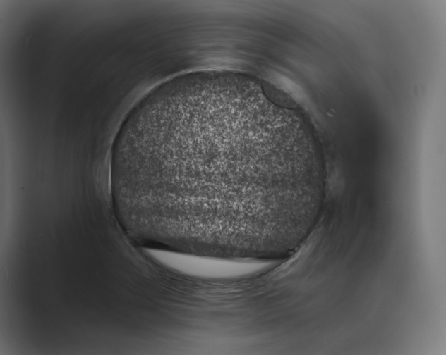X0000089441275200706291418