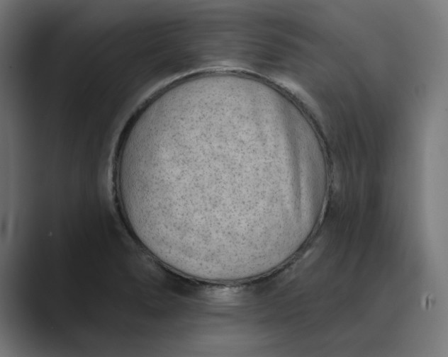 X0000089441278200706291418