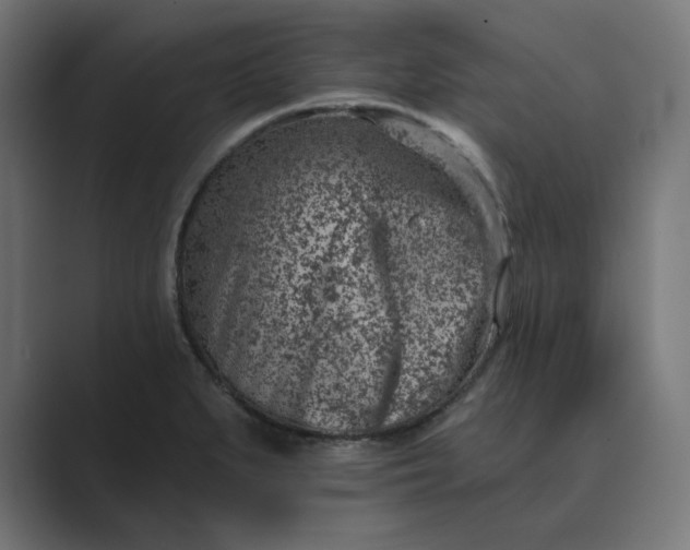 X0000089441279200706291418