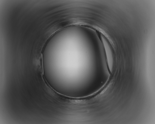 X0000089441281200706291418