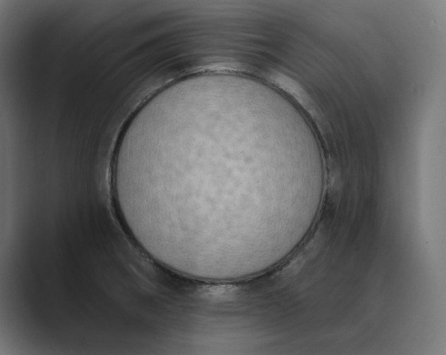 X0000089441282200706291418