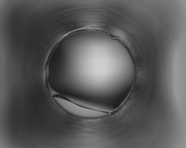 X0000089441284200706291418