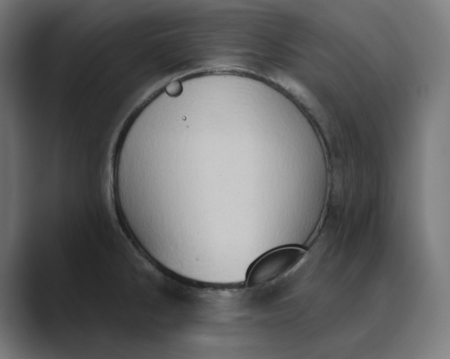 X0000089441286200706291418