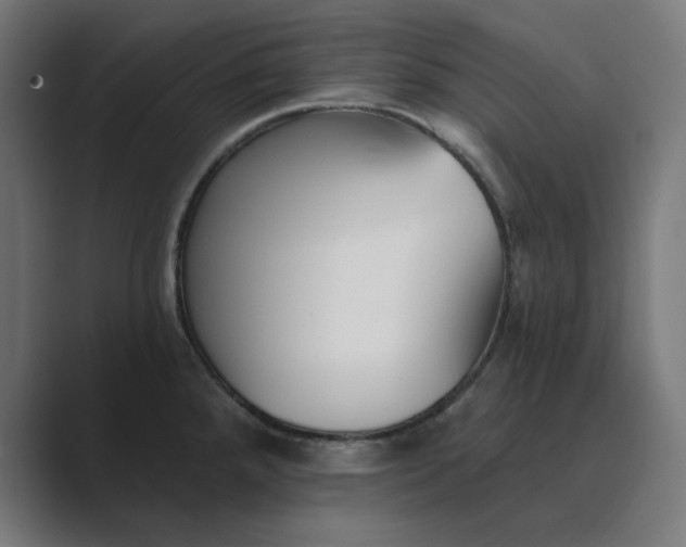 X0000089441288200706291418