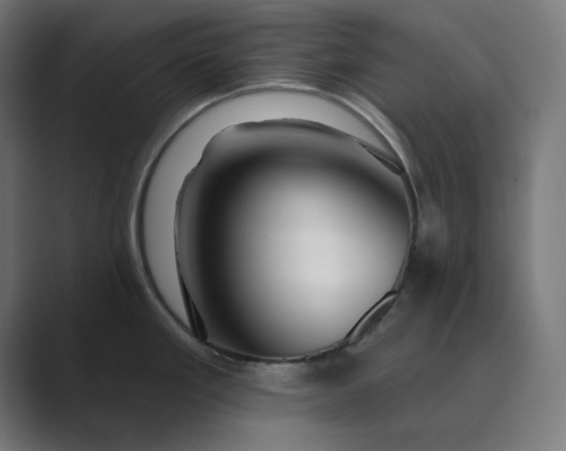 X0000089441293200706291418