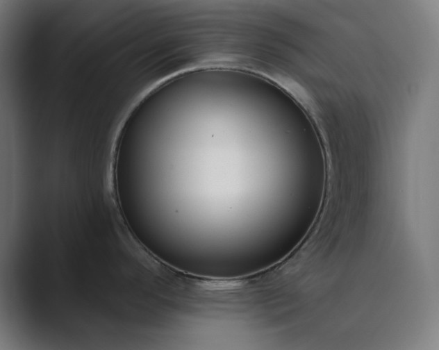 X0000089441296200706291418