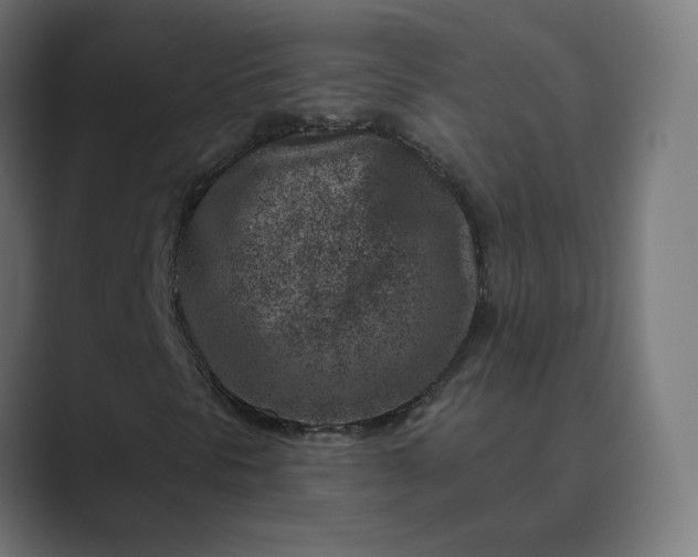 X0000089441297200706291418