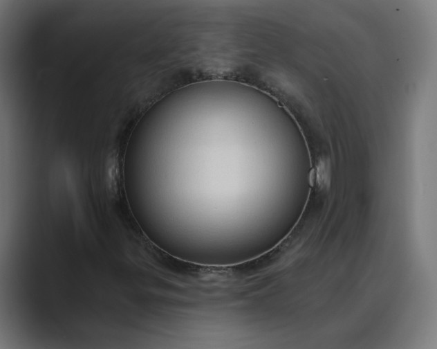 X0000089441299200706291418