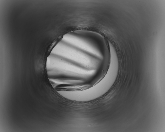 X0000089441300200706291418