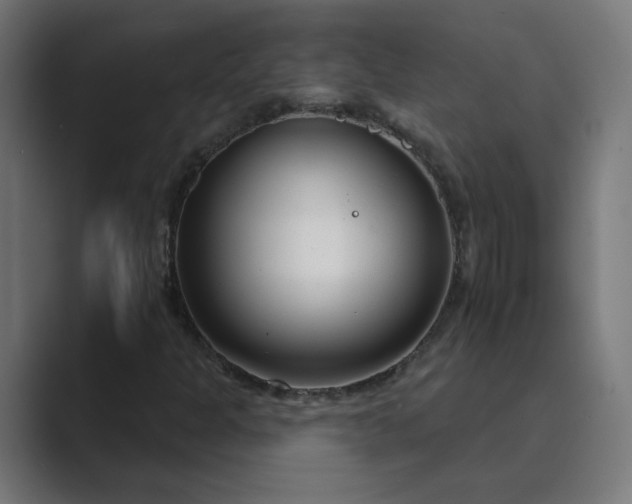 X0000089441301200706291418