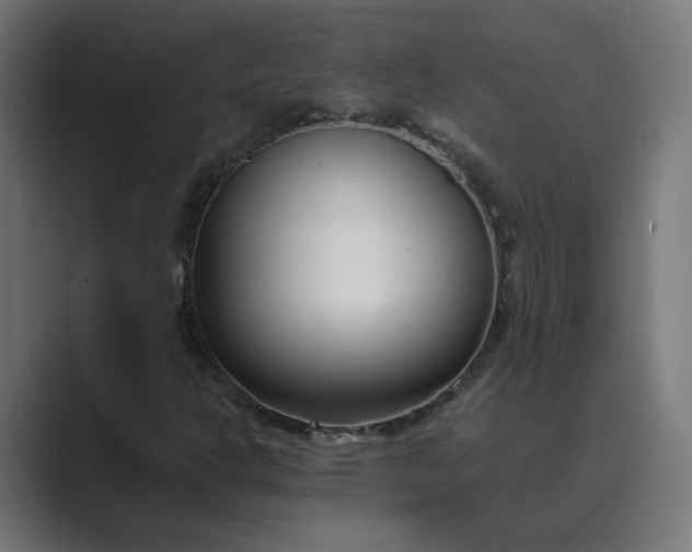 X0000089441302200706291418