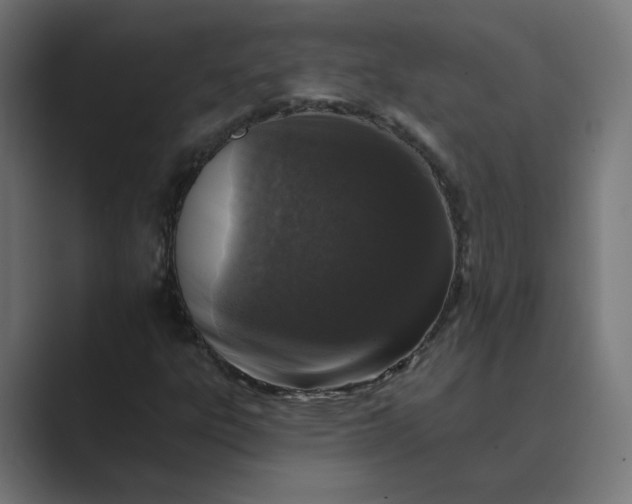 X0000089441303200706291418