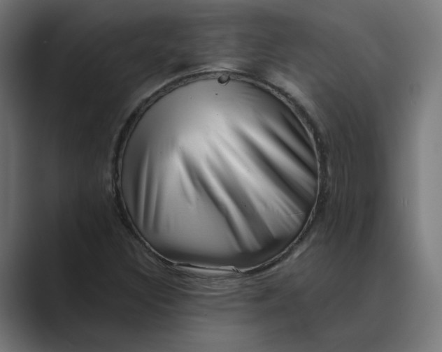 X0000089441308200706291418