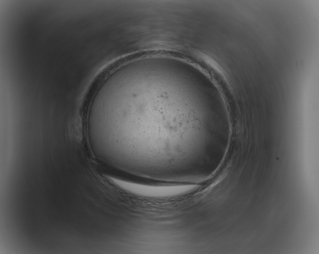 X0000089441310200706291418